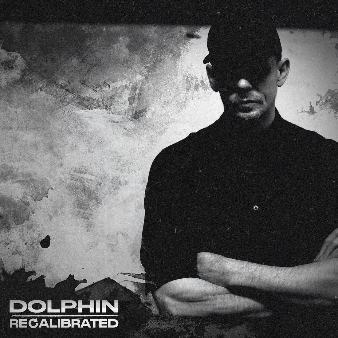 Dolphin Recalibrated