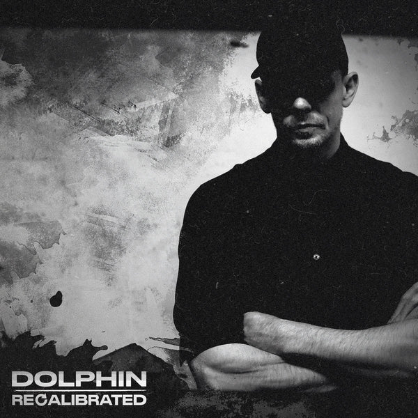Dolphin Recalibrated