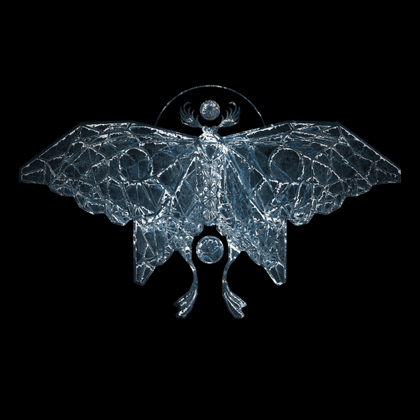 Krista Bourgeois - Creation Through Destruction (PRE ORDER)